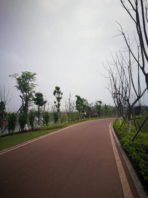 仁寿城南湿地公园为何停工?仁寿县今天天气多少度-图1 仁寿城南湿地公园为何停工?仁寿县今天天气多少度-图1
