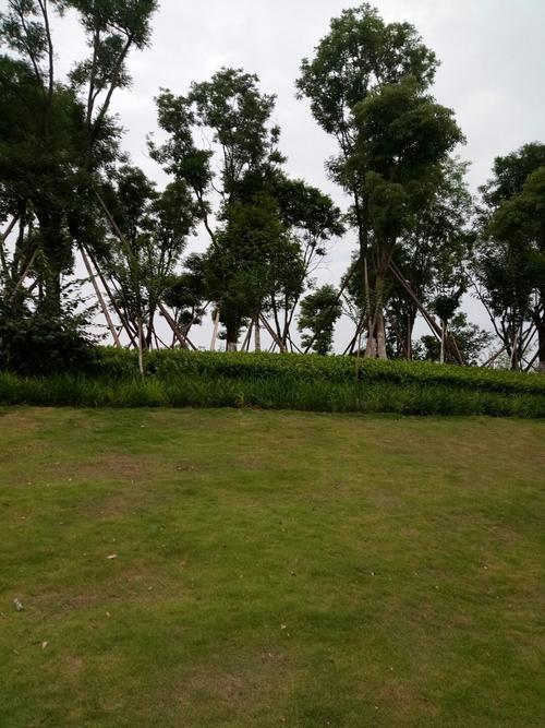 仁寿城南湿地公园为何停工?仁寿县今天天气多少度-图2 仁寿城南湿地公园为何停工?仁寿县今天天气多少度-图2