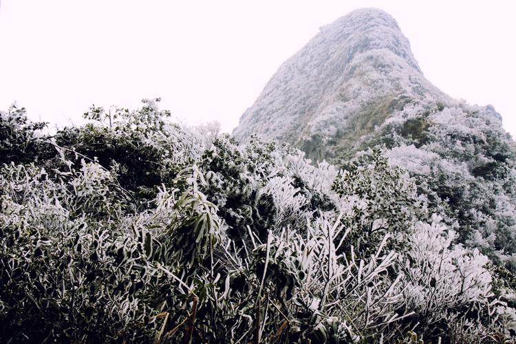 贵港平天山景区门票是多少?贵港平天山多少度有雪-图1 贵港平天山景区门票是多少?贵港平天山多少度有雪-图1