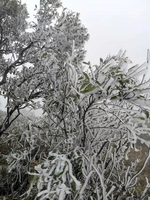 贵港平天山景区门票是多少?贵港平天山多少度有雪-图3 贵港平天山景区门票是多少?贵港平天山多少度有雪-图3
