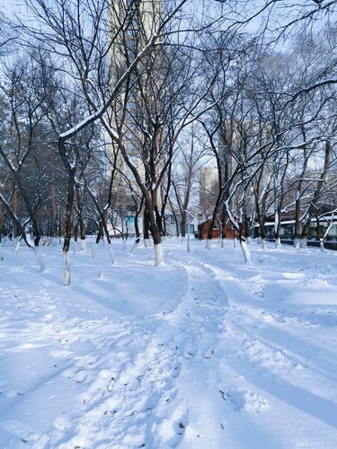 东北佳木斯几月份开始下雪了?佳木斯市19年历史天气是多少度-图3 东北佳木斯几月份开始下雪了?佳木斯市19年历史天气是多少度-图3