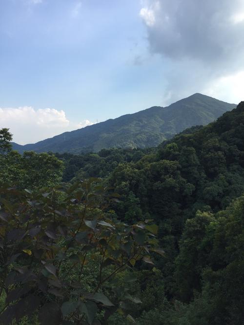 从化有名的山?从化大岭山最高海拔多少米-图2 从化有名的山?从化大岭山最高海拔多少米-图2