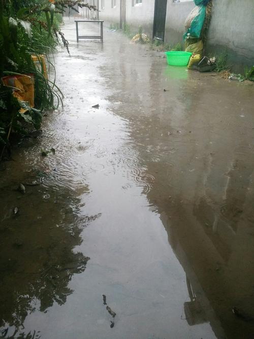 醉太行写生基地下暴雨了吗?2020年安阳下雨多少次-图3 醉太行写生基地下暴雨了吗?2020年安阳下雨多少次-图3