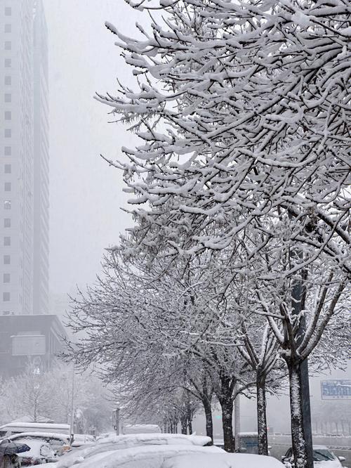 三月哪里有雪?天津三月份大概多少度-图2 三月哪里有雪?天津三月份大概多少度-图2