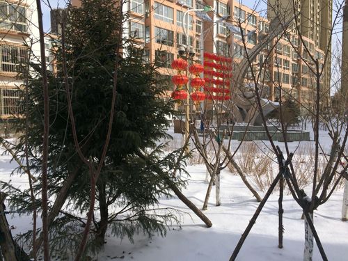 包头冬季经常下雪吗?固阳最冷多少度-图3 包头冬季经常下雪吗?固阳最冷多少度-图3
