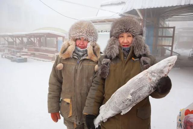 俄罗斯哪个地区最冷?苏联最冷的天气是多少度-图1 俄罗斯哪个地区最冷?苏联最冷的天气是多少度-图1