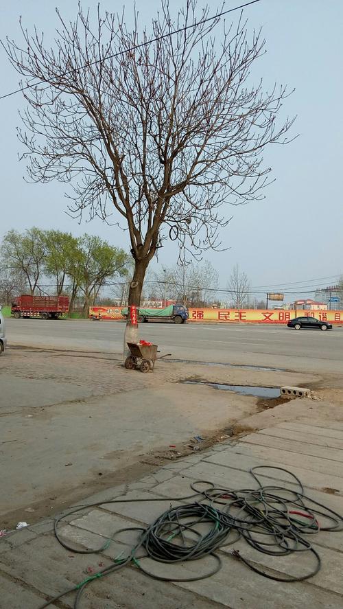 河南的滑县属于哪个市?浚县历史最低气温是多少度-图2 河南的滑县属于哪个市?浚县历史最低气温是多少度-图2