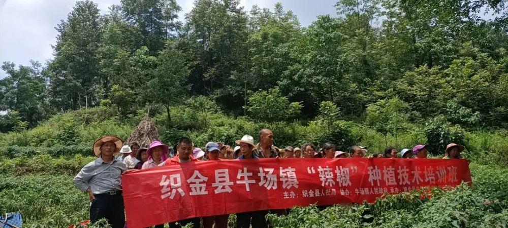 织金的美称?织金牛场镇的邮政编码是多少-图1 织金的美称?织金牛场镇的邮政编码是多少-图1
