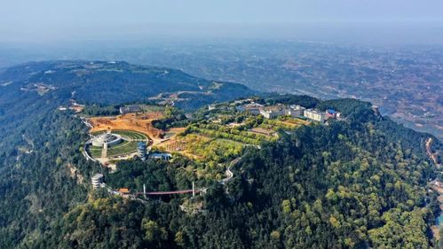 重庆九龙坡高山海拔排名?重庆奉节厚坪海拔多少-图1 重庆九龙坡高山海拔排名?重庆奉节厚坪海拔多少-图1