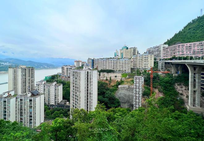重庆九龙坡高山海拔排名?重庆奉节厚坪海拔多少-图3 重庆九龙坡高山海拔排名?重庆奉节厚坪海拔多少-图3