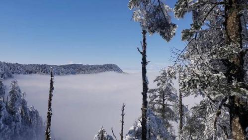 现在瓦屋山冷不冷?瓦屋山风景区常年多少度-图1 现在瓦屋山冷不冷?瓦屋山风景区常年多少度-图1