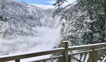 现在瓦屋山冷不冷?瓦屋山风景区常年多少度-图2 现在瓦屋山冷不冷?瓦屋山风景区常年多少度-图2