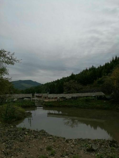 南杂木在吉林省什么地方?新宾南杂木有多少人口-图1 南杂木在吉林省什么地方?新宾南杂木有多少人口-图1