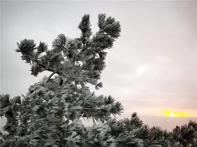 漳州下过雪吗?漳州冬季最低温度多少-图3 漳州下过雪吗?漳州冬季最低温度多少-图3