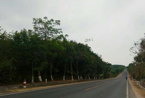 海口美兰国际机场到昌江霸王岭怎么走?昌江县到霸王岭多少公里数-图2 海口美兰国际机场到昌江霸王岭怎么走?昌江县到霸王岭多少公里数-图2