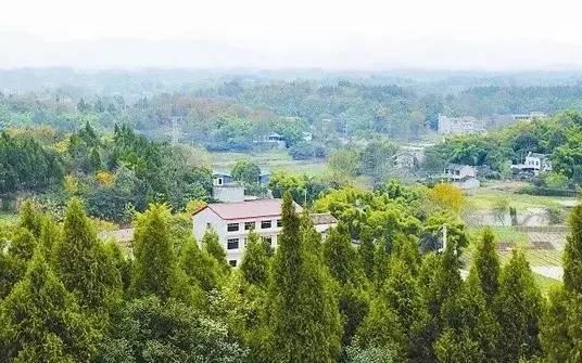 简阳哪些地方属于大成都?简阳石板凳镇多少人口-图3 简阳哪些地方属于大成都?简阳石板凳镇多少人口-图3