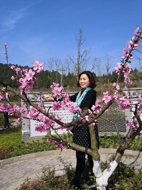 南充哪里可以看桃花?蓬安县两路乡邮政编码是多少-图3 南充哪里可以看桃花?蓬安县两路乡邮政编码是多少-图3
