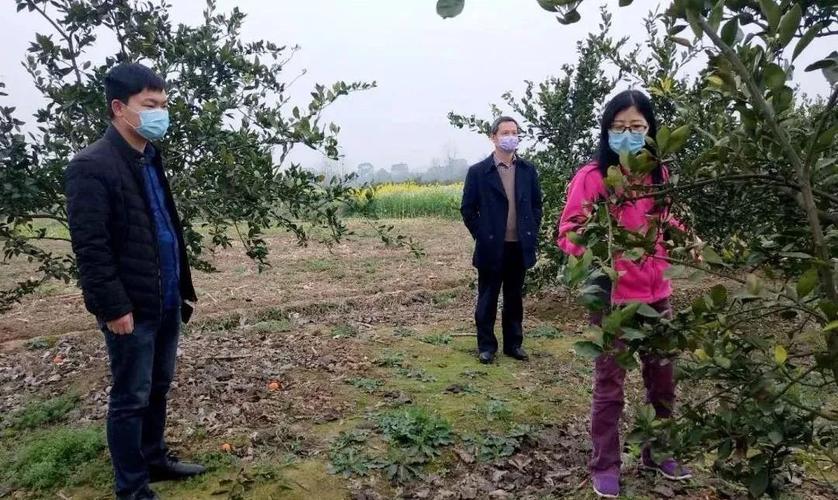 宜昌市宜都下属乡镇有哪些?松木坪镇有多少人-图1 宜昌市宜都下属乡镇有哪些?松木坪镇有多少人-图1
