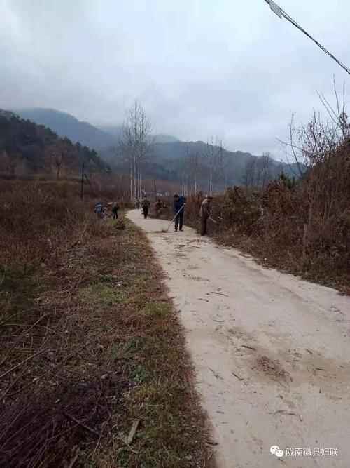西北小强是成都人吗?徽县伏家镇海拔高度多少-图1 西北小强是成都人吗?徽县伏家镇海拔高度多少-图1