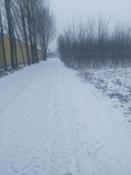 下雪的天气一般是多少度啊?河间市冬天最低温度是多少-图2 下雪的天气一般是多少度啊?河间市冬天最低温度是多少-图2