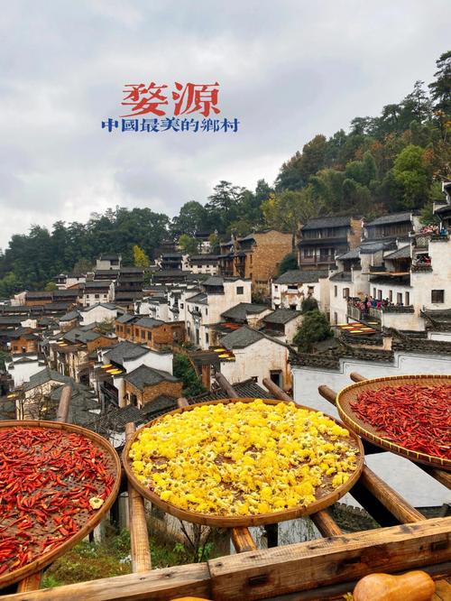 江西婺源9月份去怎么样?婺源安徽11月中旬气温多少-图3 江西婺源9月份去怎么样?婺源安徽11月中旬气温多少-图3