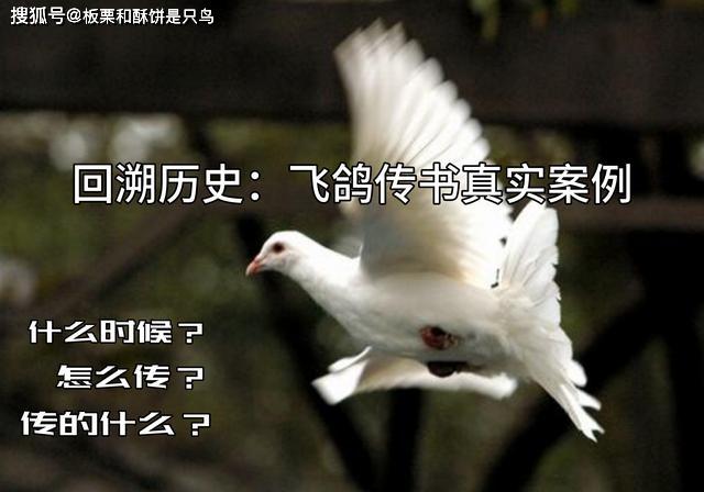 从古到今你知道传递信件的方式有哪些?全国叫周飞鸽的有多少-图3 从古到今你知道传递信件的方式有哪些?全国叫周飞鸽的有多少-图3