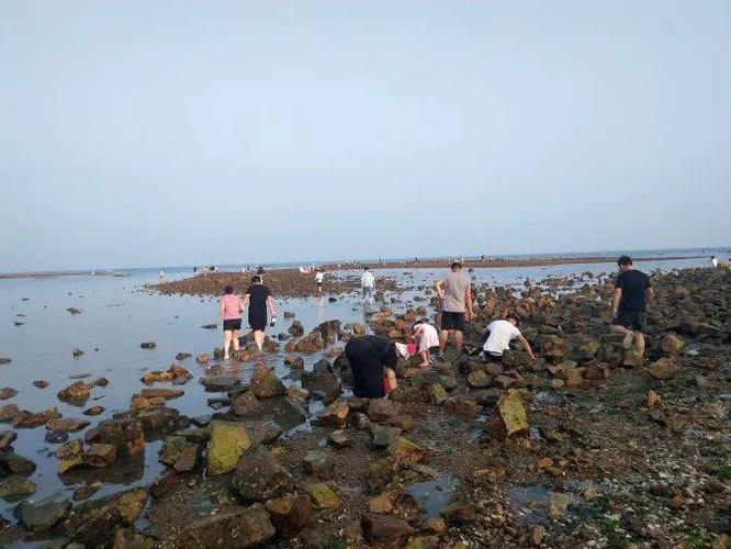 荣成林家流村8月份最佳赶海时间?荣成4月份多少度-图1 荣成林家流村8月份最佳赶海时间?荣成4月份多少度-图1