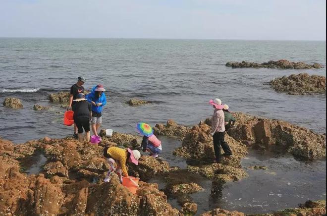 荣成林家流村8月份最佳赶海时间?荣成4月份多少度-图2 荣成林家流村8月份最佳赶海时间?荣成4月份多少度-图2