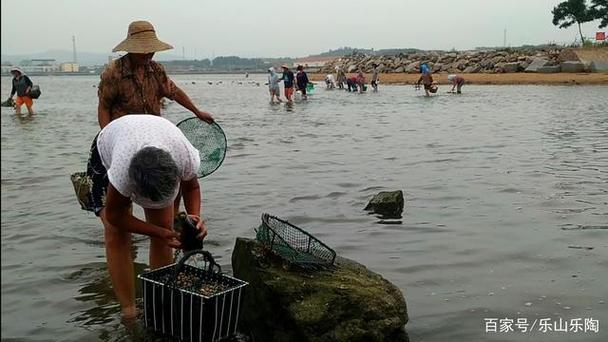 荣成林家流村8月份最佳赶海时间?荣成4月份多少度-图3 荣成林家流村8月份最佳赶海时间?荣成4月份多少度-图3