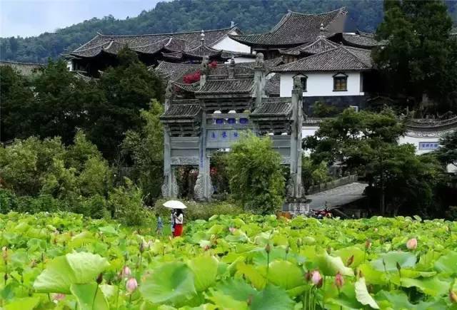 腾冲市由哪些县市组成?腾冲荷花镇多少个村-图2 腾冲市由哪些县市组成?腾冲荷花镇多少个村-图2