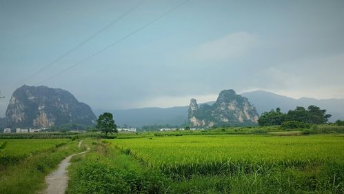 英德市所处的温度带是什么带?英德市历年七月份气温多少度-图1 英德市所处的温度带是什么带?英德市历年七月份气温多少度-图1