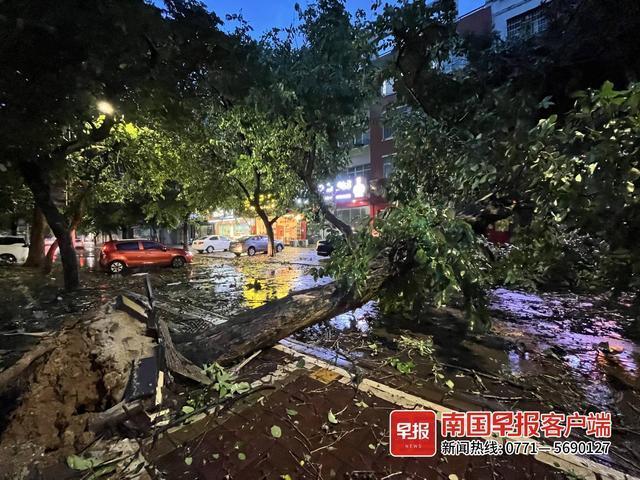 北海中雨会下一整天么?广西北海遭遇的最大台风多少级-图2 北海中雨会下一整天么?广西北海遭遇的最大台风多少级-图2