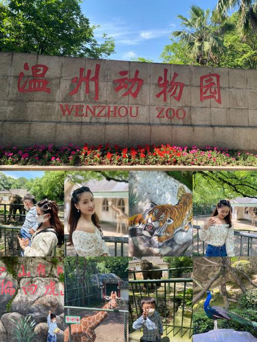 温州s2线路游玩攻略?动物园到温州南站打车多少钱-图2 温州s2线路游玩攻略?动物园到温州南站打车多少钱-图2