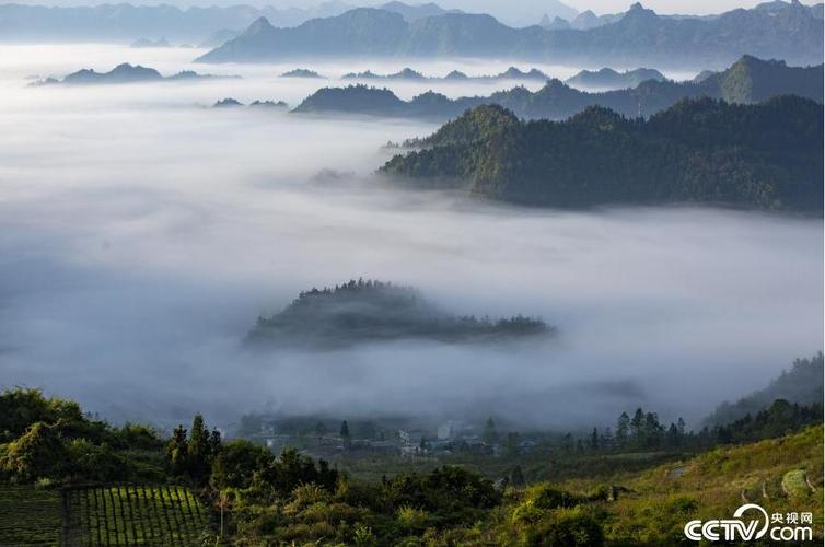 湖北恩施与利川哪里气候好?利川最高山海拔多少千米-图2 湖北恩施与利川哪里气候好?利川最高山海拔多少千米-图2