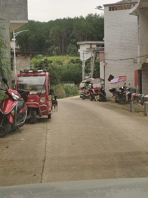 邵阳市隆回县滩头镇的邮政编码是多少?隆回滩头镇邮编号是多少-图3 邵阳市隆回县滩头镇的邮政编码是多少?隆回滩头镇邮编号是多少-图3