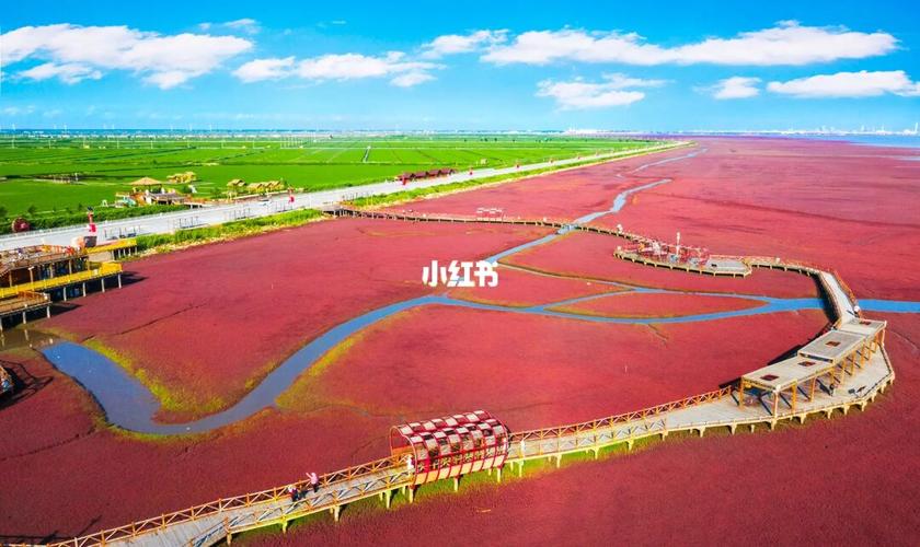 红海滩8月份要门票吗?十二月盘锦红海滩门票多少-图3 红海滩8月份要门票吗?十二月盘锦红海滩门票多少-图3