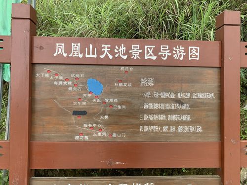 凤凰山天池半夜自驾怎么上去?凤凰天池晚上多少度-图3 凤凰山天池半夜自驾怎么上去?凤凰天池晚上多少度-图3