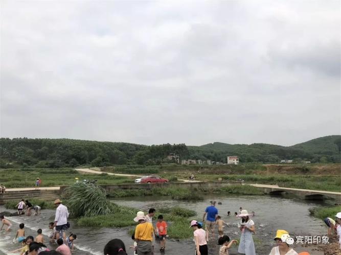 宾阳县有什么镇?宾阳县露圩镇有多少平方公里-图3 宾阳县有什么镇?宾阳县露圩镇有多少平方公里-图3