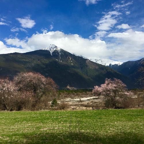 林芝是否属于高寒地区?林芝市年最低温度多少度-图1 林芝是否属于高寒地区?林芝市年最低温度多少度-图1