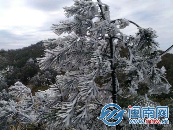 漳州下过雪吗?华安县最低温度是多少-图1 漳州下过雪吗?华安县最低温度是多少-图1