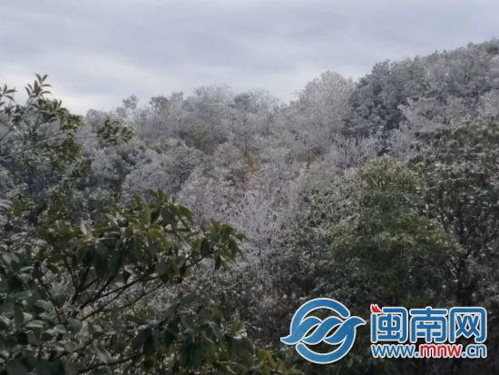 漳州下过雪吗?华安县最低温度是多少-图2 漳州下过雪吗?华安县最低温度是多少-图2