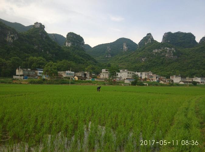 广西武宣县有哪几个乡镇?武宣禄新乡有多少个村-图2 广西武宣县有哪几个乡镇?武宣禄新乡有多少个村-图2