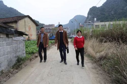 广西武宣县下辖多少个乡镇?武宣通挽镇有多少个村-图3 广西武宣县下辖多少个乡镇?武宣通挽镇有多少个村-图3