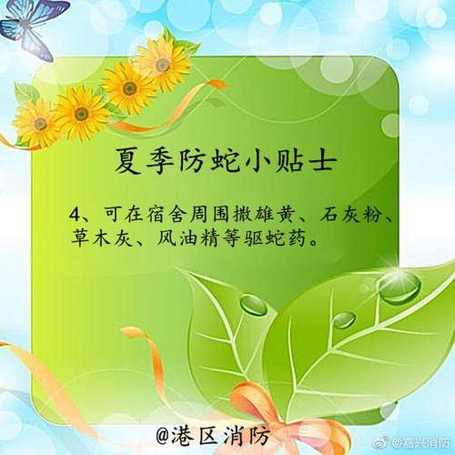 夏季小区防蛇温馨提示?温州龙湾区最低温度是多少-图1 夏季小区防蛇温馨提示?温州龙湾区最低温度是多少-图1