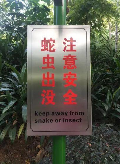 夏季小区防蛇温馨提示?温州龙湾区最低温度是多少-图2 夏季小区防蛇温馨提示?温州龙湾区最低温度是多少-图2