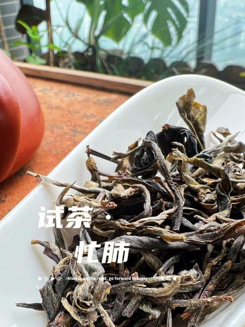 为什么叫忙肺茶?景洪到临沧永德多少公里路-图3 为什么叫忙肺茶?景洪到临沧永德多少公里路-图3