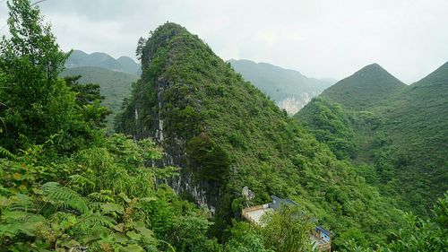 广西百色市乐业县离贵州遵义有多远？乐业到贵阳多少钱-图1