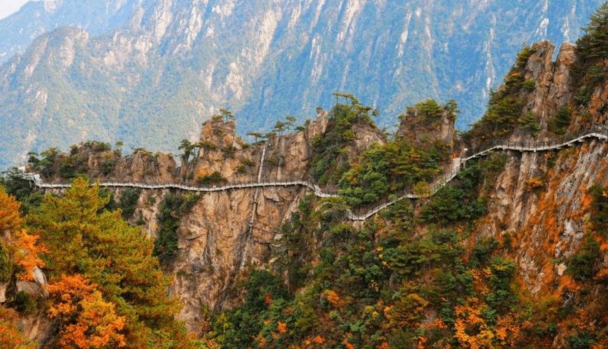 临安大明山植被?大明山最冷多少度-图1 临安大明山植被?大明山最冷多少度-图1