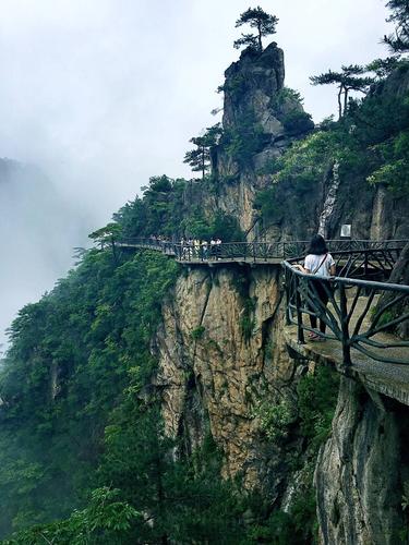 临安大明山植被?大明山最冷多少度-图2 临安大明山植被?大明山最冷多少度-图2