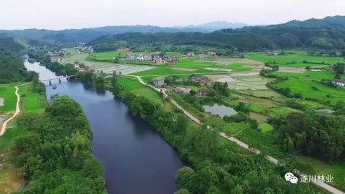 历史上的江都是现在的哪里?江西五斗江乡有多少人口-图3 历史上的江都是现在的哪里?江西五斗江乡有多少人口-图3